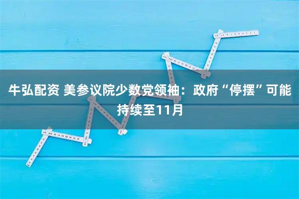 牛弘配资 美参议院少数党领袖：政府“停摆”可能持续至11月