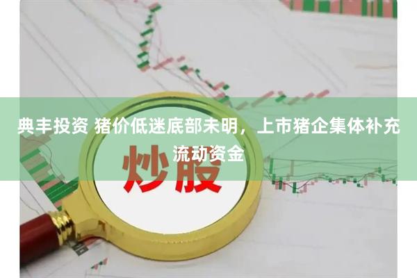 典丰投资 猪价低迷底部未明，上市猪企集体补充流动资金