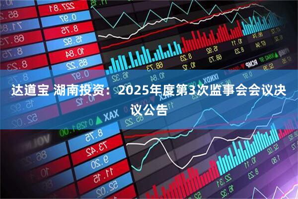 达道宝 湖南投资：2025年度第3次监事会会议决议公告