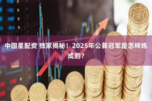 中国星配资 独家揭秘！2025年公募冠军是怎样炼成的？