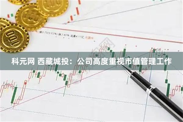 科元网 西藏城投：公司高度重视市值管理工作